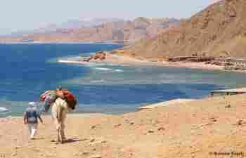Private transfer from Cairo hotel to Dahab hotel