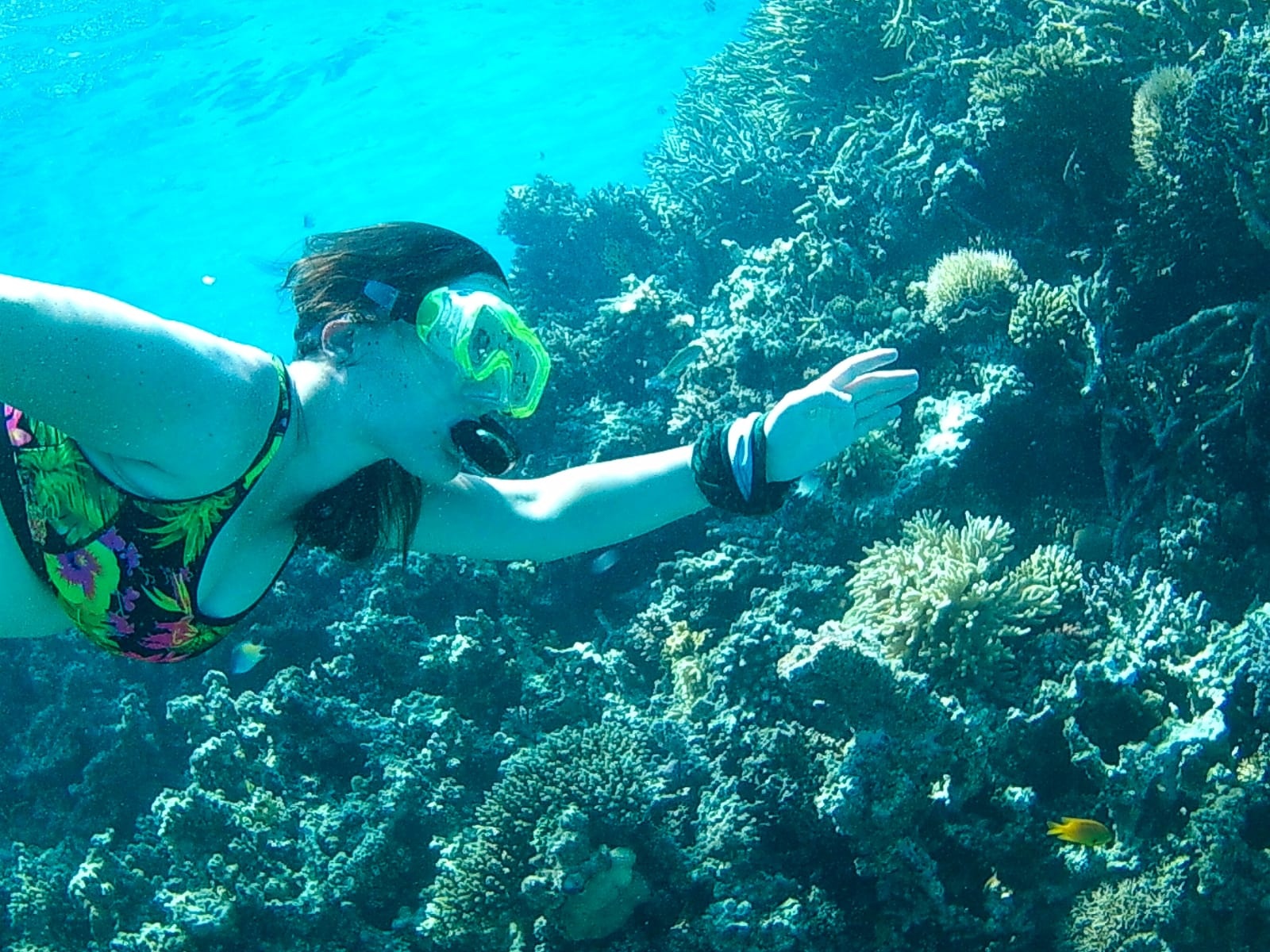 Snorkeling trips from Sahl Hasheesh