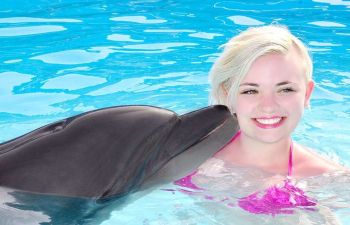 Swim with dolphins in Hurghada