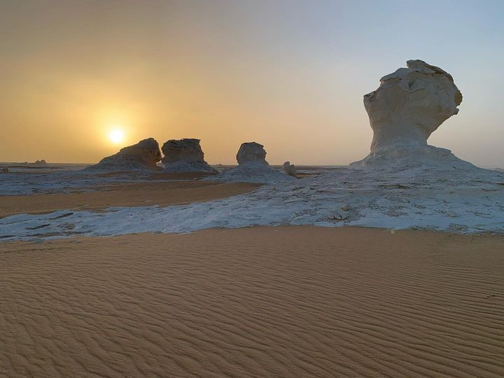 Two days tour to Bahariya Oasis and white desert from Alexandria