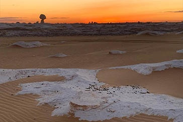 western desertSafari tours from Sahel Hashesh| Desert tours from Sahel Hashesh