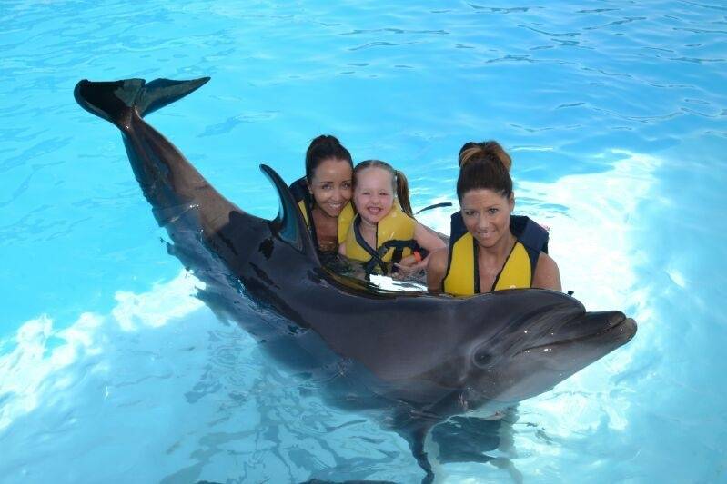 Nuota con i delfini a Hurghada