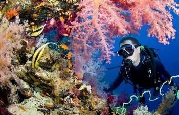 giorno immersioni subacquee hurghada Egitto Mar Rosso