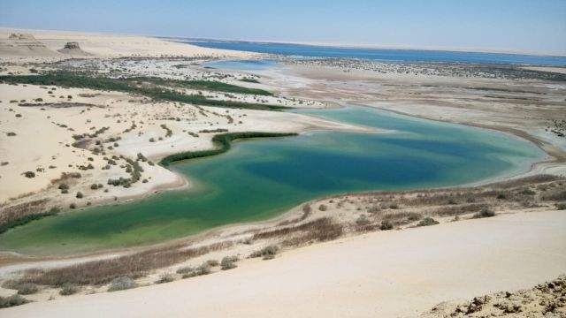 3 daagse excursie witte woestijn en wadi el Hitan vanuit Caïro
