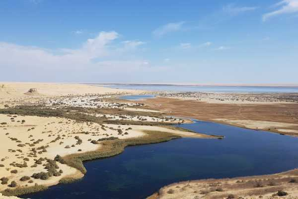 3 daagse trip naar de Fayoum oase vanuit Caïro