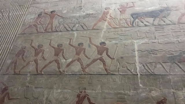 Cairo dag excursie naar Memphis Sakkara en Dahshur Pyramiden