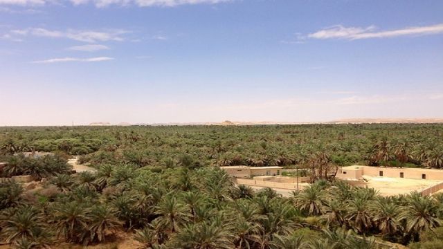 Cairo en witte Woestijn 6 daagse Rondreis