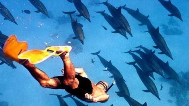 privéboottocht naar de dolfijnenhuis-samadai-riffen vanuit Marsa Alam Privéboottocht naar het dolfijnenhuis vanuit Marsa Alam