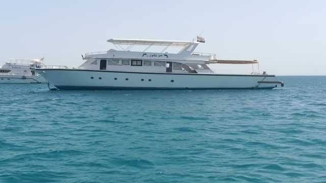 Privéboottocht vanuit Hurghada naar het dolfijnenhuis.