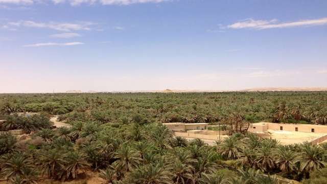 Witte woestijn twee daagse excursie  vanuit Cairo