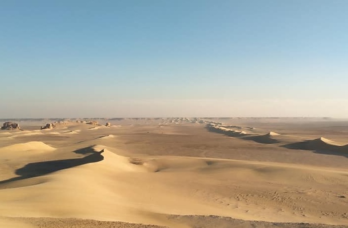 Woestijn Safari excursies vanuit Cairo