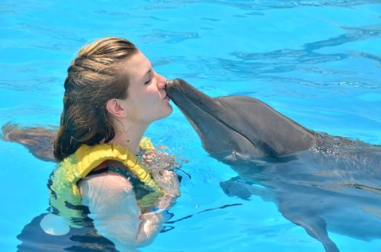 Zwem met dolfijnen Hurghada