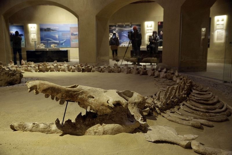 Het klimaatveranderingsmuseum in Wadi el Hitan 