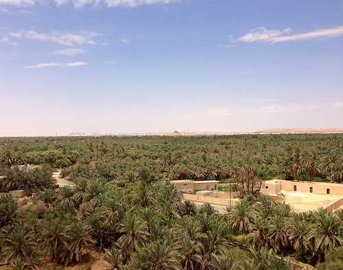 View of Bahariya oase