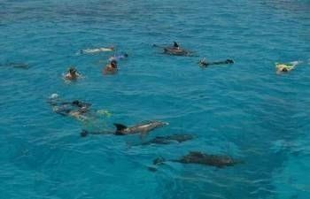 Privéboottocht vanuit Hurghada naar het dolfijnenhuis.