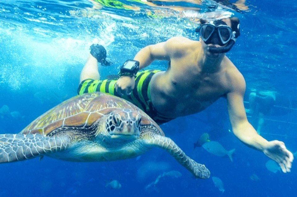 abu dabbab dugong bay marsa alam excursies