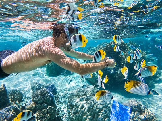Nocny snorkeling Wycieczka na rafę delfinów Sataya z Marsa Alam