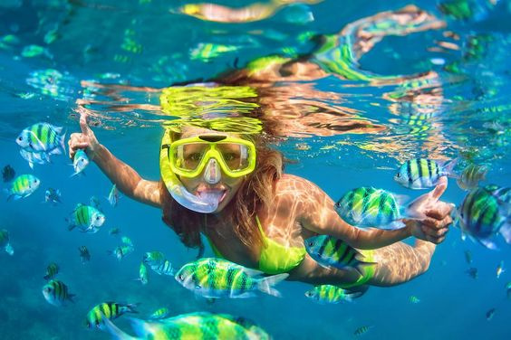 Nocny snorkeling Wycieczka na rafę delfinów Sataya z Marsa Alam