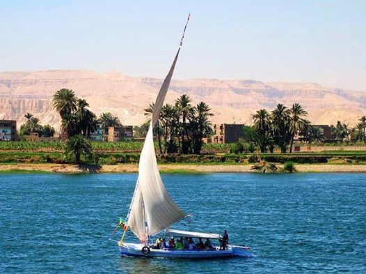 Rejsy po Kairze i Nilu