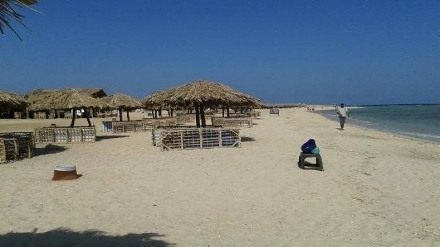 Wycieczka na plażę żółwi Abu Dabab z Marsa Alam