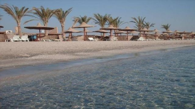 Wycieczka na plażę żółwi Abu Dabab z Marsa Alam