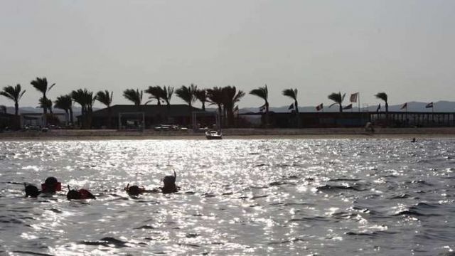 Wycieczka na plażę żółwi Abu Dabab z Marsa Alam