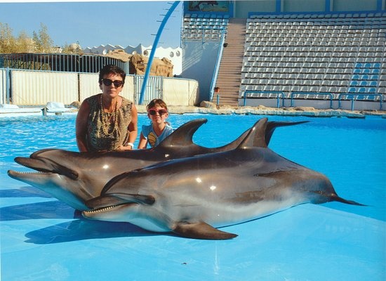 Inotati cu delfinii din Hurghada